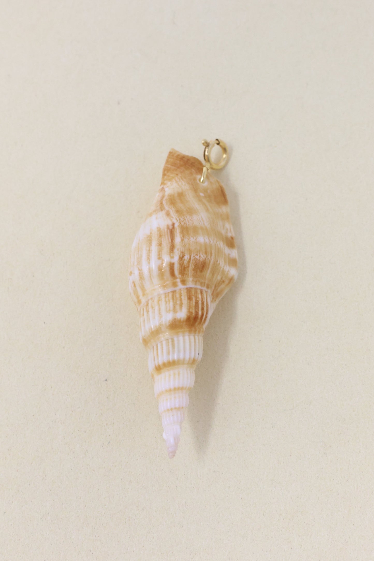 Shell Charm