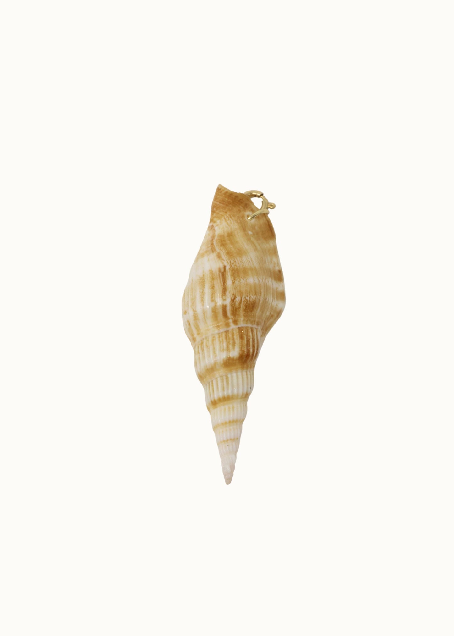 Shell Charm