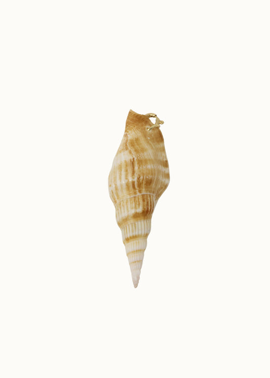Shell Charm